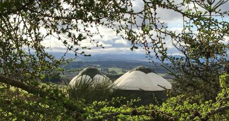 Alexander House - glamping Yurt exterior