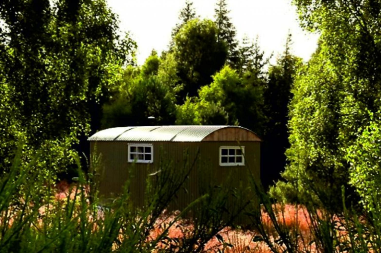 Ace Hideaways - Shepherds Hut