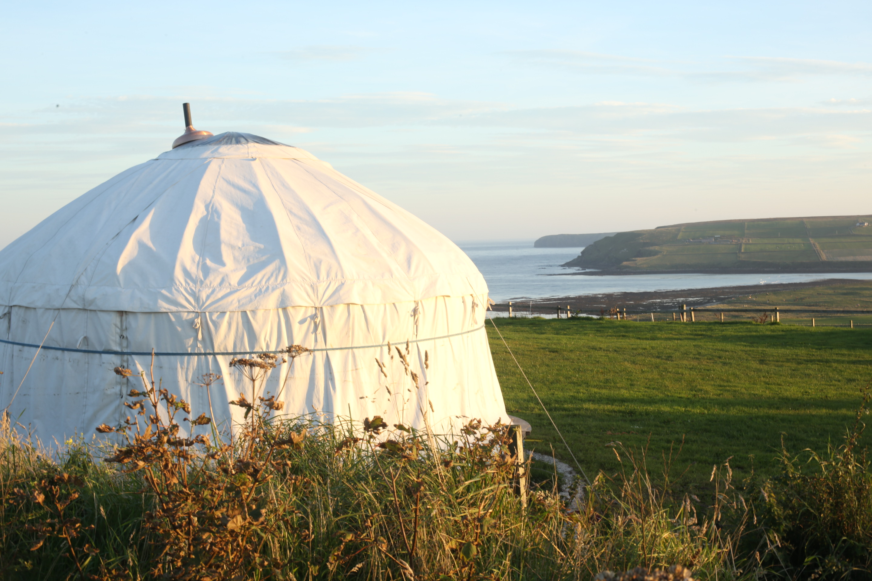 Wheems Organic Farm glamping Yurt